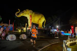 BIB: 
                            <button type="button" onclick="openModal(26552375)" class="btn btn-primary btn-sm float-right btn-popup" data-toggle="modal" data-target=".modal-high-quality">
                        <i class="fas fa-shopping-cart"></i> Add to Cart
                    </button>
                                            <button type="button" onclick="isThisMe(26552375, true)" class="btn btn-success btn-sm float-right btn-popup btn-isme hidden" data-toggle="tooltip" data-placement="bottom" title="นี่คือรูปของคุณใช่ไหม คลิกที่นี่เพื่อเอาเข้าอัลบั้ม">
                        <i class="fas fa-plus"></i> Add to album
                    </button>
                    <button type="button" onclick="isThisMe(26552375, false)" class="btn btn-warning btn-sm float-right btn-popup btn-isnotme hidden">
                        <i class="fas fa-ban"></i> Remove from album
                    </button>